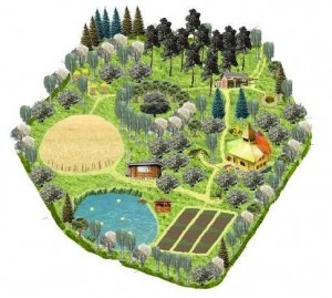 ЛЕКТОРІЙ ПЕРМАКУЛЬТУРА В ЛАНДШАФТНОМУ ДИЗАЙНІ